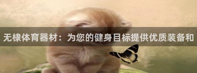 星欧娱乐最建议买的三个产品是：无棣体育器材：为您的健