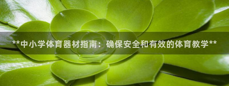 星欧娱乐工客服电话24小时人工服务：**中小学体育器