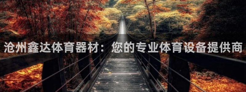 星欧娱乐是正规平台吗安全吗：沧州鑫达体育器材：您的专