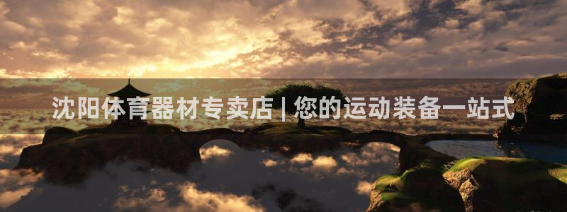 星欧娱乐扣款流程详解视频下载：沈阳体育器材专卖店 |