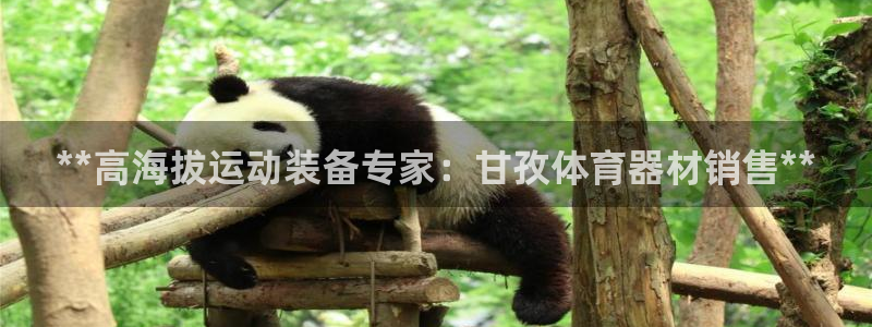 星游娱乐1官网下载：**高海拔运动装备专家：甘孜体育