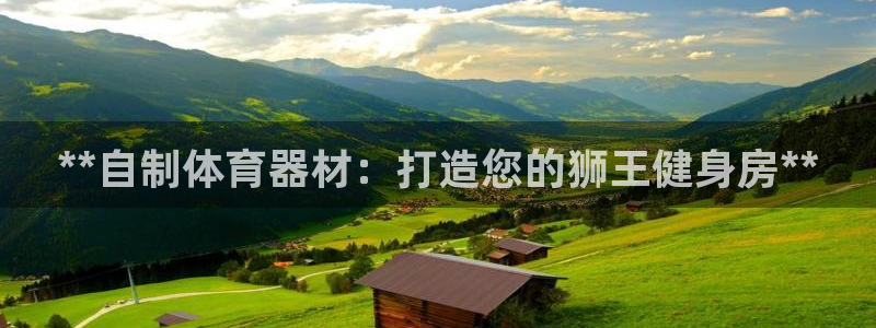 星欧娱乐app最新版本更新内容：**自制体育器材：打
