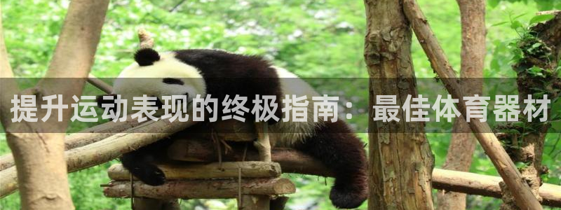 星欧娱乐联最新功能介绍：提升运动表现的终极指南：最佳