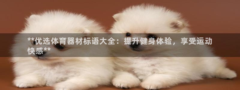 江苏星奥娱乐有限公司招聘：**优选体育器材标语大全：