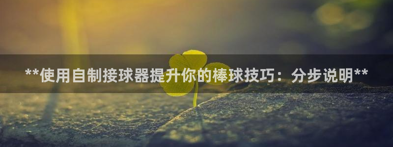 星欧娱乐扣款时间查询方法怎么查：**使用自制接球器提