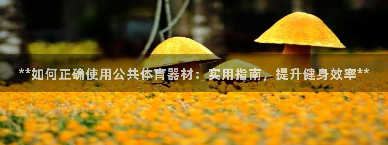星欧娱乐扣款流程详解视频下载：**如何正确使用公共体