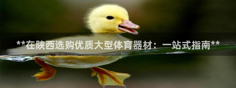 新星娱乐怎么开挂：**在陕西选购优质大型体育器材：一