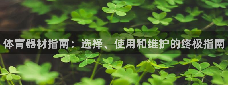 星欧娱乐最建议买的三个产品有哪些：体育器材指南：选择