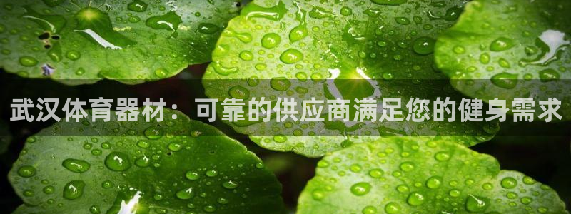 星欧娱乐属于什么档次的公司名称：武汉体育器材：可靠的