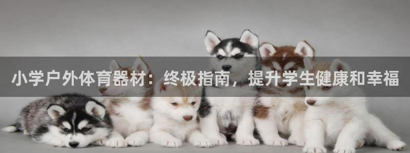 星欧娱乐平台怎么样可靠吗：小学户外体育器材：终极指南