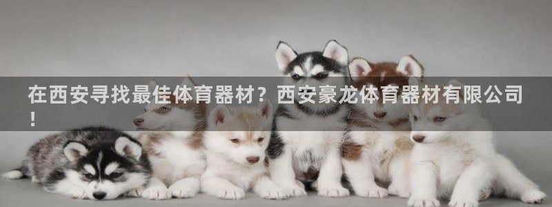 星欧娱乐挂机赚钱：在西安寻找最佳体育器材？西安豪龙体