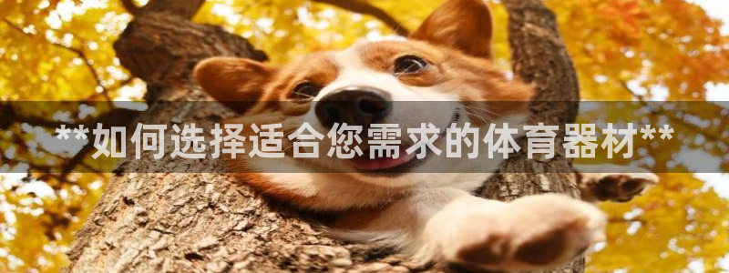 星欧娱乐最建议买的三个产品是哪三个：**如何选择适合