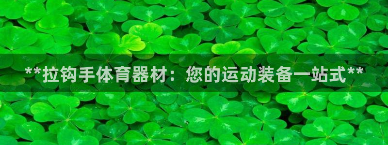 星奥娱乐集团官网：**拉钩手体育器材：您的运动装备一