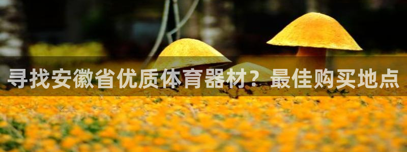 星奥娱乐怎么样：寻找安徽省优质体育器材？最佳购买地点