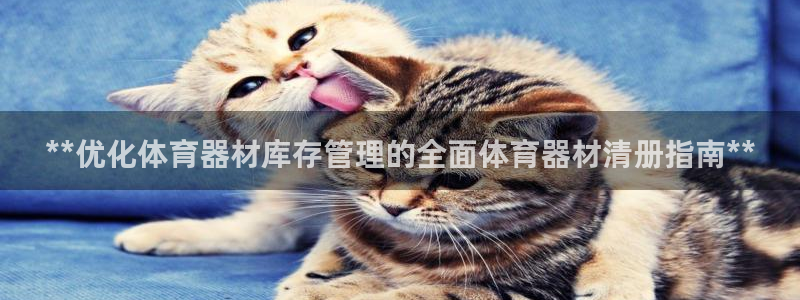 星欧娱乐扣款流程详解图高清：**优化体育器材库存管理