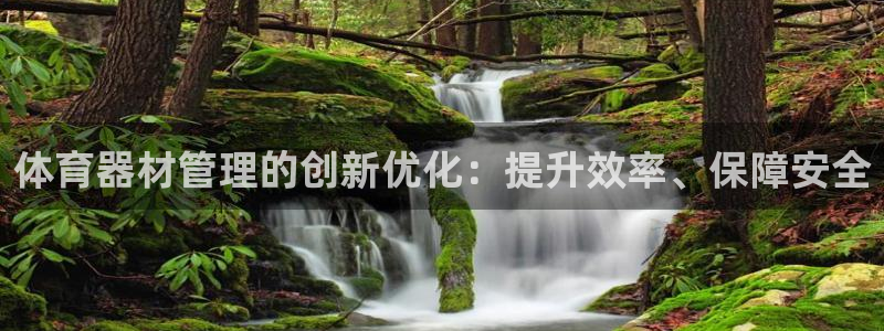 星奥娱乐集团股份有限公司：体育器材管理的创新优化：提