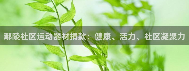 星欧娱乐平台测速线路：鄢陵社区运动器材捐款：健康、活