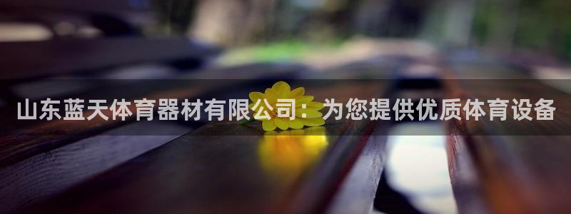 星欧娱乐扣款流程详解图：山东蓝天体育器材有限公司：为