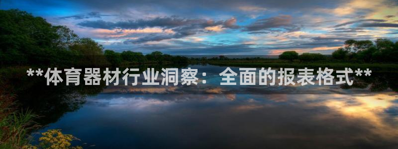 星奥娱乐集团股份有限公司招聘：**体育器材行业洞察：