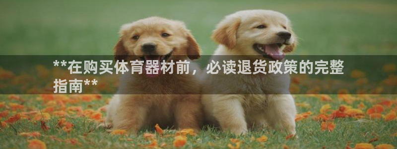 星欧娱乐平台测速线路怎么设置：**在购买体育器材前，