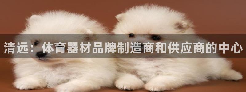 星奥娱乐集团股份有限公司官网：清远：体育器材品牌制造