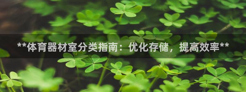 星欧娱乐公司地址：**体育器材室分类指南：优化存储，