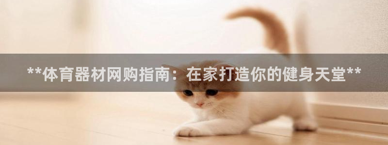 星欧娱乐游戏官网：**体育器材网购指南：在家打造你的