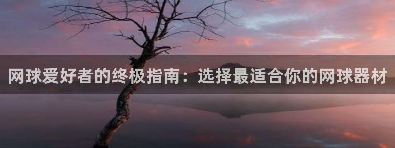 星欧娱乐伐官网注册：网球爱好者的终极指南：选择最适合