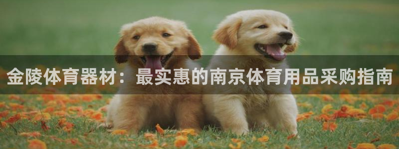 星欧娱乐扣费处理方法：金陵体育器材：最实惠的南京体育