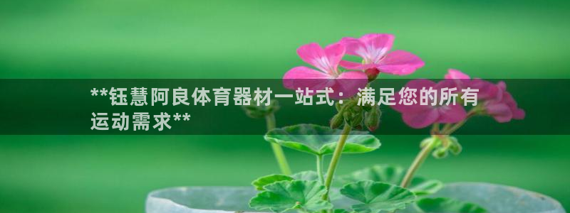 星欧娱乐扣款流程详解图片大全：**钰慧阿良体育器材一
