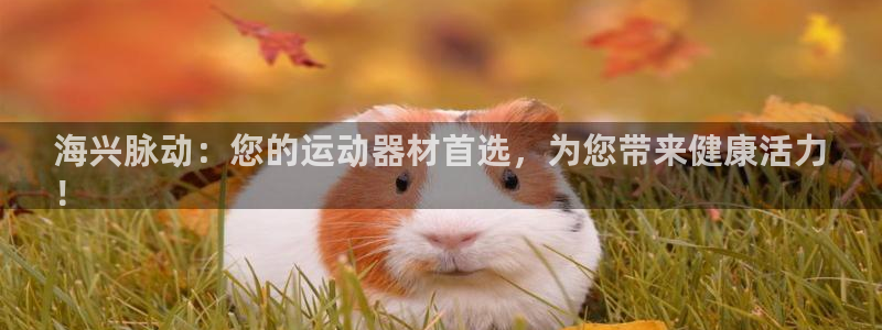 星欧娱乐雀V是什么平台：海兴脉动：您的运动器材首选，