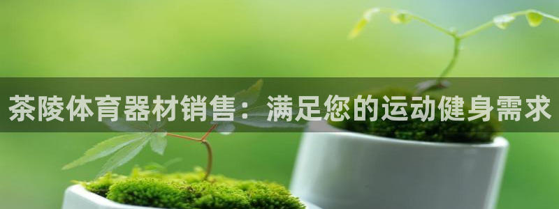 星欧娱乐是正规品牌吗：茶陵体育器材销售：满足您的运动