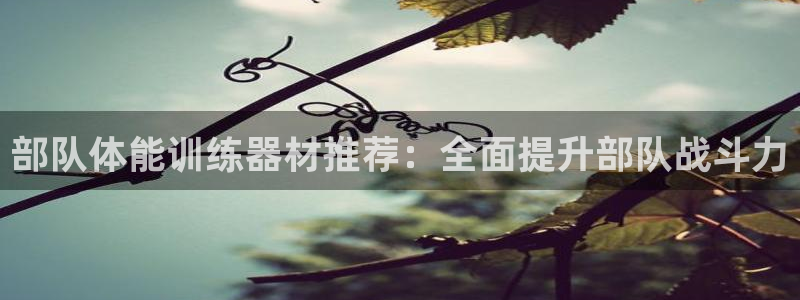 星欧娱乐是什么品牌：部队体能训练器材推荐：全面提升部