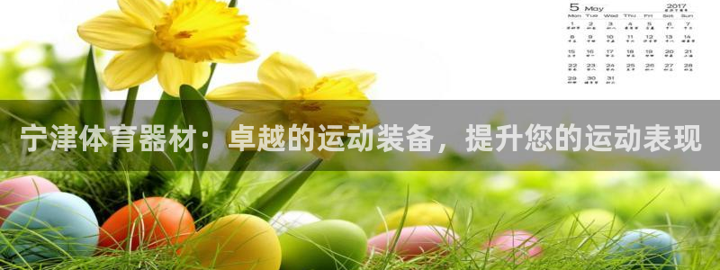 星欧娱乐属于什么档次的公司名称：宁津体育器材：卓越的