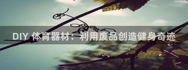 星游娱乐下载地址：DIY 体育器材：利用废品创造健身