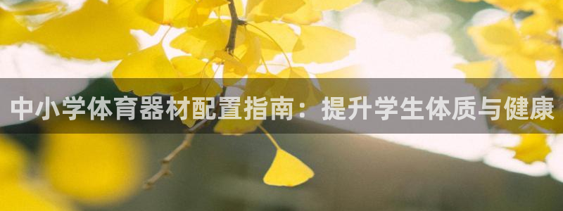 星欧娱乐的创始人背景故事介绍：中小学体育器材配置指南
