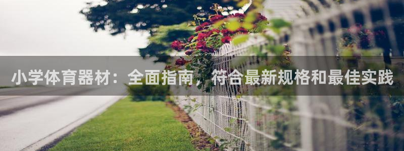 星欧娱乐的官方版本更新内容是什么：小学体育器材：全面