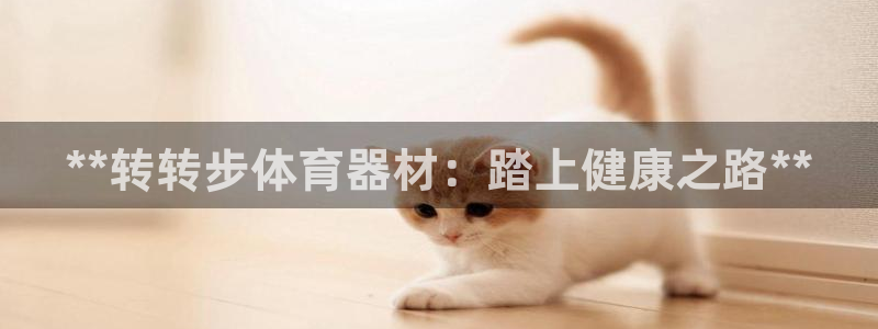 星欧娱乐公司：**转转步体育器材：踏上健康之路**