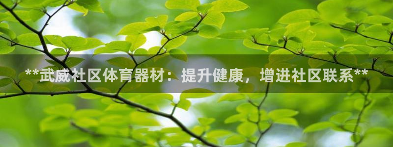 星欧娱乐平台方7O777：**武威社区体育器材：提升