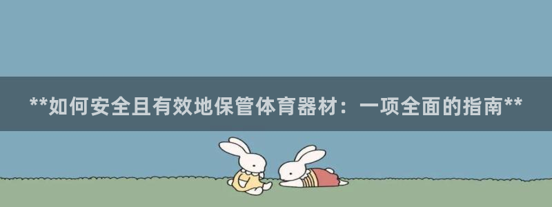 江苏星奥娱乐：**如何安全且有效地保管体育器材：一项