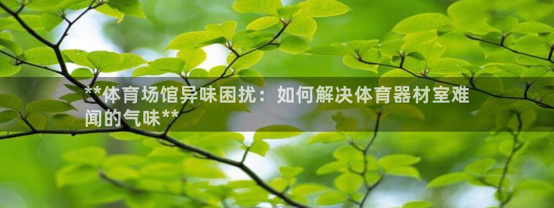 星欧娱乐最建议买的三个游戏：**体育场馆异味困扰：如