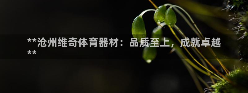 星欧娱乐信存手机版下载：**沧州维奇体育器材：品质至