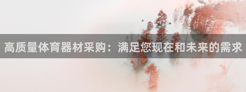 澳星国际娱乐集团：高质量体育器材采购：满足您现在和未
