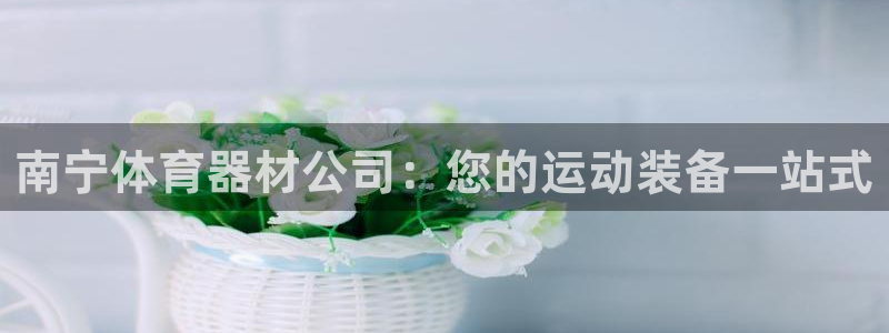星欧娱乐平台怎么样可靠吗知乎：南宁体育器材公司：您的