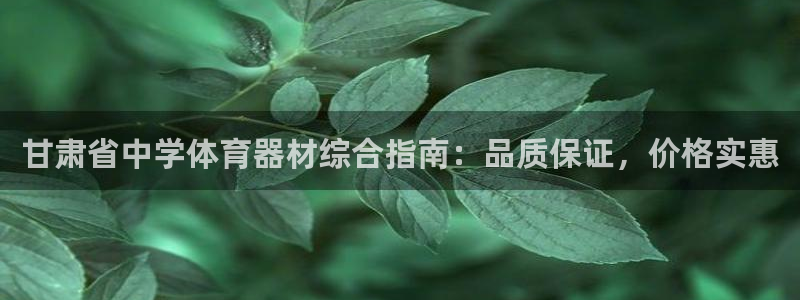 星欧娱乐平台怎么样可靠吗安全吗：甘肃省中学体育器材综