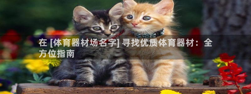 星欧娱乐伐官网注册：在 [体育器材场名字] 寻找优质