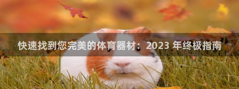 星欧娱乐扣费后解决方法：快速找到您完美的体育器材：2