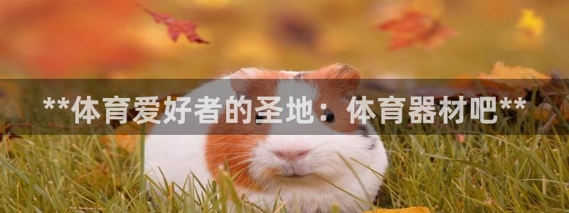 星欧娱乐官方客服联系方式电话：**体育爱好者的圣地：