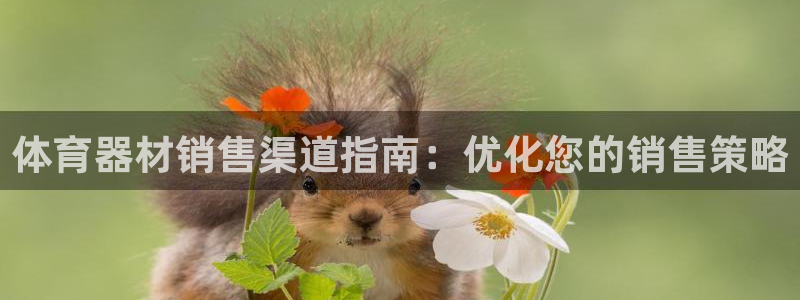 星欧娱乐扣款流程详解图片：体育器材销售渠道指南：优化