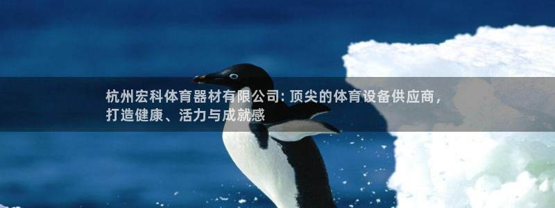 星欧娱乐的官方版本更新内容是什么：杭州宏科体育器材有